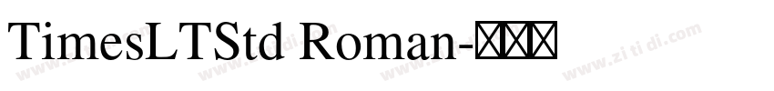 TimesLTStd Roman字体转换